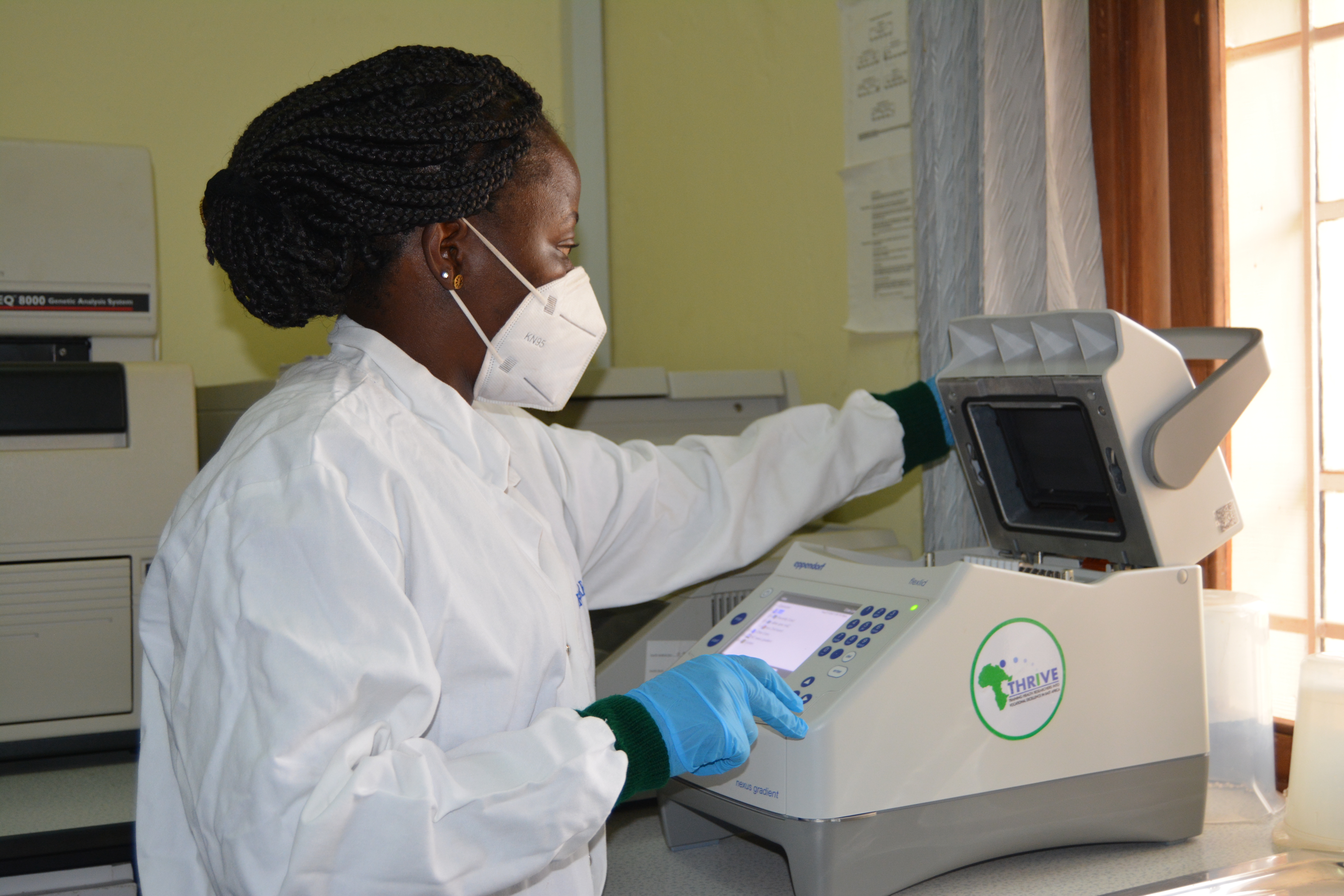 Lab technologist performing a PCR amplification in the Core Lab
