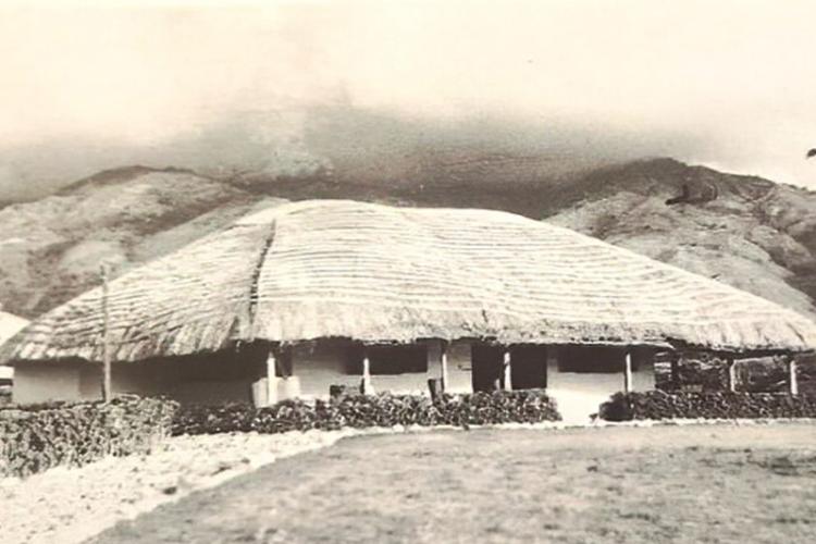 Yellow Fever Research Institute 1936
