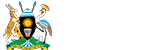 My Logo